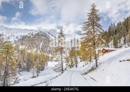 Geografie / Reise, Österreich, ADDITIONAL-RIGHTS-CLEARANCE-INFO-NOT-AVAILABLE Stockfoto