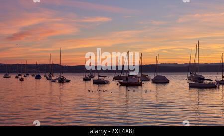 Sonnenaufgangspanorama Am Bodensee. Morgensonnenlicht Über Ruhigem Wasser. Stockfoto