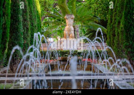 Garten des Königs Obstgarten Stockfoto