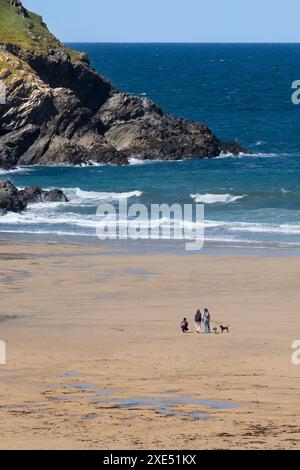 Menschen und ihre Hunde am unberührten Strand von Polly Porth scherzen an der Küste von Newquay in Cornwall in Großbritannien. Stockfoto