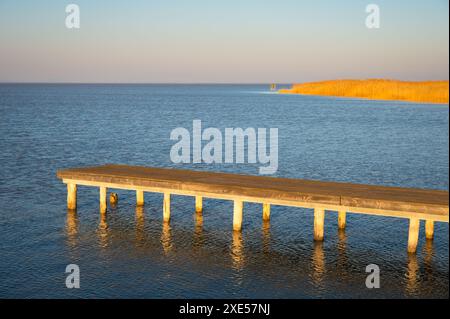 Anlegesteg am Neusiedlersee im Burgenland Stockfoto