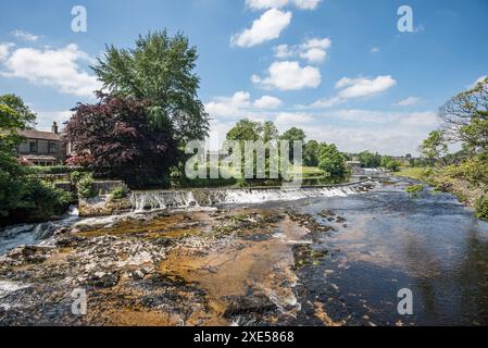 Weir am River Wharfe, oberhalb der Linton Falls, Yorkshire dales National Park. In der Nähe des Wasserkraftwerks bei Linton Falls. Stockfoto