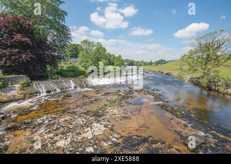 Weir am River Wharfe, oberhalb der Linton Falls, Yorkshire dales National Park. In der Nähe des Wasserkraftwerks bei Linton Falls. Stockfoto