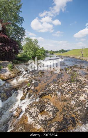 Weir am River Wharfe, oberhalb der Linton Falls, Yorkshire dales National Park. In der Nähe des Wasserkraftwerks bei Linton Falls. Stockfoto