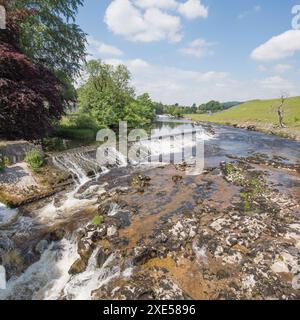 Weir am River Wharfe, oberhalb der Linton Falls, Yorkshire dales National Park. In der Nähe des Wasserkraftwerks bei Linton Falls. Stockfoto