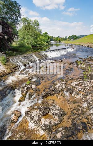 Weir am River Wharfe, oberhalb der Linton Falls, Yorkshire dales National Park. In der Nähe des Wasserkraftwerks bei Linton Falls. Stockfoto