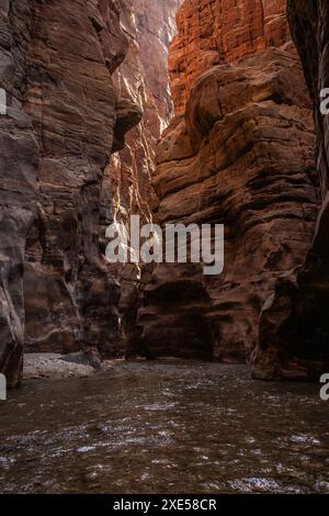 Vertikale Landschaft des Arnon Stream und der Sandstone Rock Formation tagsüber in Jordanien. Wadi Mujib Blick auf den Rocky Canyon und das Wasser. Stockfoto