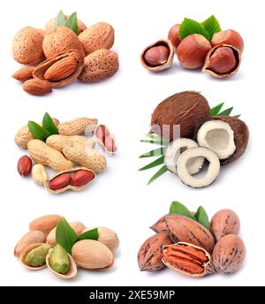 Sammlung von Nüssen Stockfoto