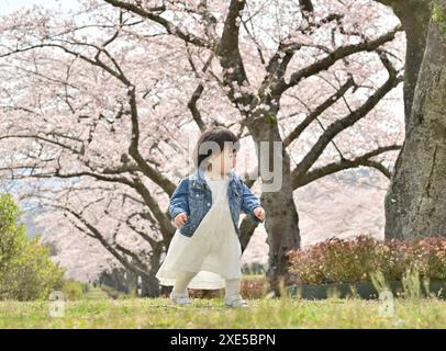 Kirschblüte und Mädchen Stockfoto