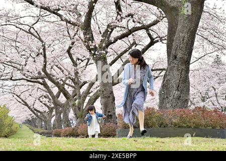 Kirschblüte und Eltern und Kind Stockfoto