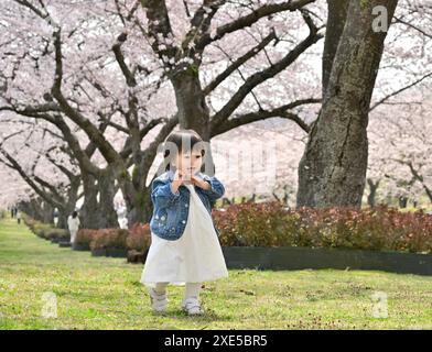 Kirschblüte und Mädchen Stockfoto