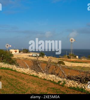 Typisches Ferienhaus und Windräder in der Landschaft von Malta im warmen Abendlicht Stockfoto