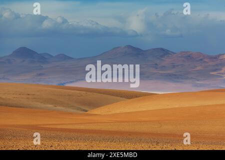 Desierto de Salvador DalÃ­ ist eine steinige Wüste inmitten des Eduardo Avaroa Andenfauna Nationalparks in Bolivien Stockfoto