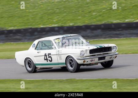 Matt Neal, Luke Davenport, 1965 Ford Mustang während des Ken Miles Cup Rennens beim Goodwood 81st Members Meeting 2024 in Sussex, Großbritannien Stockfoto