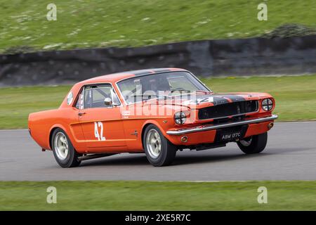 Colin Sowter / Neel Yani, 1965 Ford Mustang während des Ken Miles Cup-Rennens beim Goodwood 81st Members Meeting 2024 in Sussex, Großbritannien Stockfoto