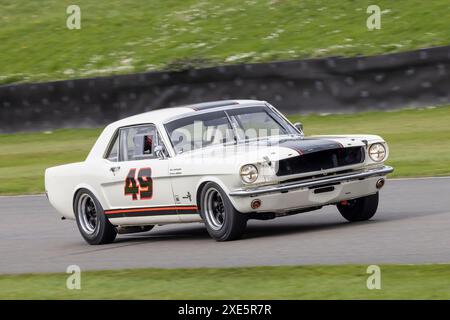 Mike Whitaker / Andrew Jordan, 1965 Ford Mustang während des Ken Miles Cup-Rennens beim Goodwood 81st Members Meeting 2024 in Sussex, Großbritannien Stockfoto