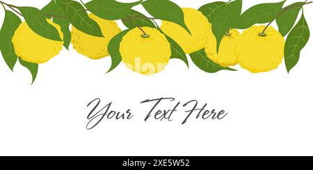 Handgezeichneter Yuzu-Obst-Header. Set von Yuzu-Früchten mit lokalisiertem Namen auf weißem Hintergrund Stock Vektor