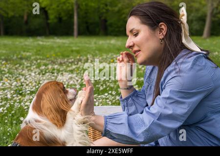 Eine glückliche schwangere Frau freut sich, während sie ihr Baby erwartet. Verbringt Zeit in der Natur. Fröhlich Spaß mit seinem Hund, Cocker Spaniel, Cavalier King Charl Stockfoto