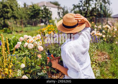 Rückansicht einer Gärtnerin, die im Sommergarten Rosenblumen genießt, nachdem sie sich um Sträucher gekümmert hat. Bewundern Sie die Landschaft nach dem Deadhead Stockfoto
