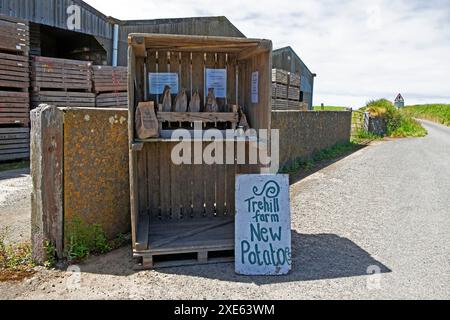 Papiertüte mit neuen Kartoffeln der Trehill Farm zum Verkauf am Straßenstand in der Nähe von Marloes Pembrokeshire Coast Wales Großbritannien Großbritannien 2024 KATHY DEWITT Stockfoto