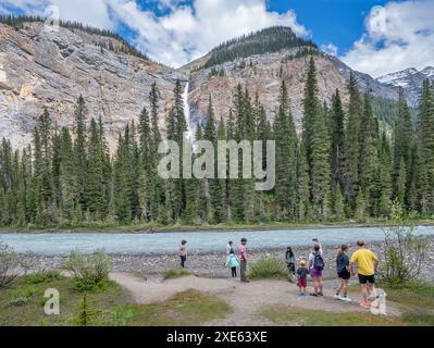 Yoho National Park, British Columbia, Kanada – 23. Juni 2024: Touristen am Ufer des Yoho River mit Takakkaw Falls im Hintergrund Stockfoto