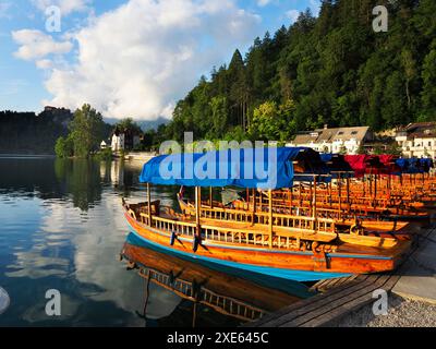 Traditionelle Holzboote mit flachem Boden oder Pletna, die am Bleder See im Oberen Carniola Slowenien vertäut sind Stockfoto