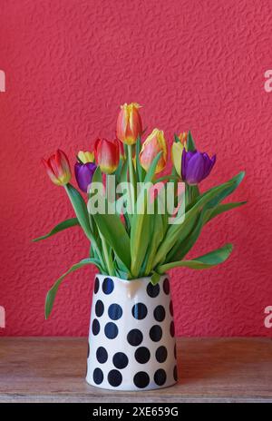 Farbenfroher Tulpenstrauß in einer weißen Vase mit schwarzen Flecken auf einem rot strukturierten Hintergrund Stockfoto
