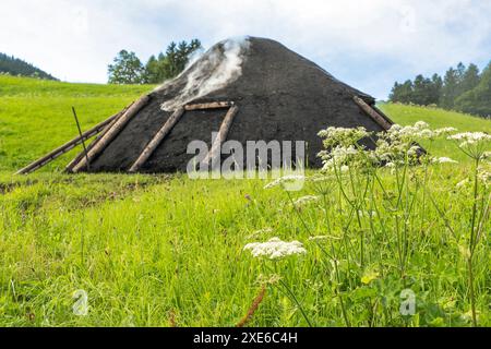 Rauchen Holzkohle Flor. Bayern, Deutschland Stockfoto