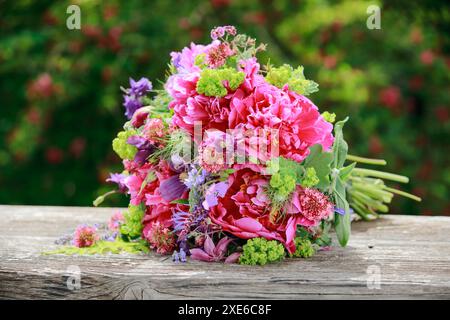 Farbenfroher Blumenstrauß aus roten, rosa und lila Blumen mit Pfingstrosen und kolumbine liegt auf einem verwitterten Holzbrett im Garten Stockfoto