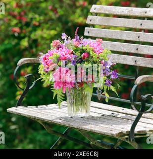 Buntes Blumenstrauß aus roten, rosa und lila Blumen mit Pfingstrosen und kolumbine in einer Glasvase auf einer hölzernen Gartenbank Stockfoto