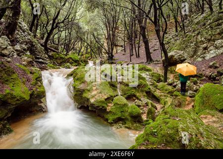 Torrent des Freu Stockfoto