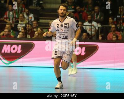 Sebastian Karlsson (MHSC) EHF CL Saison 2023-24 SC Magdeburg - Montpellier HSC am 11/30/2023 Stockfoto