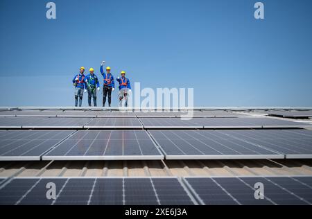 Gruppe von Ingenieuren, die auf Sonnenkollektoren stehen, mit blauem Himmel im Hintergrund Stockfoto