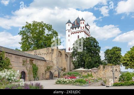 Die Kurfürstliche Burg ist ein Stadtschloss in Eltville am Rhein im hessischen Rheingau-Taunus und Wahrzeichen der Stadt Stockfoto