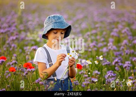 Wunderschönes Schulkind in einem Blumenfeld bei Sonnenuntergang, spielt mit Ariplane und Vintage Koffer, Frühling Stockfoto