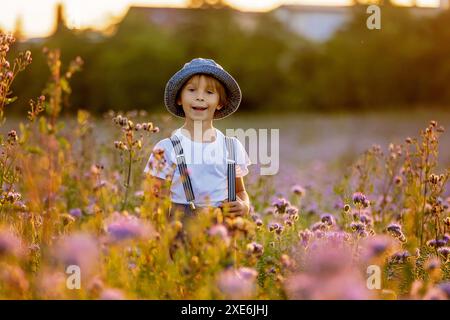 Wunderschönes Schulkind in einem Blumenfeld bei Sonnenuntergang, spielt mit Ariplane und Vintage Koffer, Frühling Stockfoto