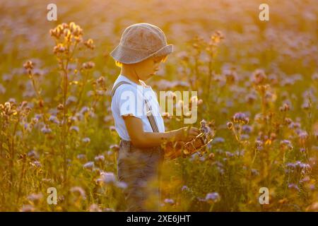 Wunderschönes Schulkind in einem Blumenfeld bei Sonnenuntergang, spielt mit Ariplane und Vintage Koffer, Frühling Stockfoto