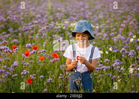 Wunderschönes Schulkind in einem Blumenfeld bei Sonnenuntergang, spielt mit Ariplane und Vintage Koffer, Frühling Stockfoto