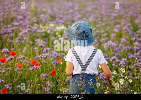 Wunderschönes Schulkind in einem Blumenfeld bei Sonnenuntergang, spielt mit Ariplane und Vintage Koffer, Frühling Stockfoto