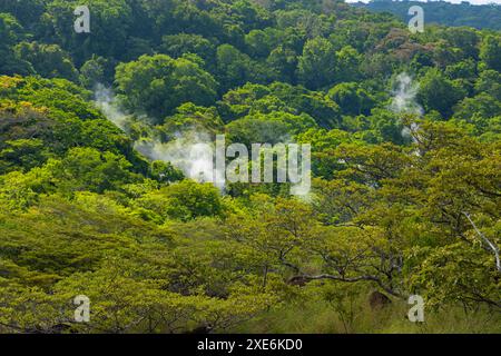 rauchiger Regenwald im Nationalpark Rincon de la Vieja in Costa Rica Stockfoto