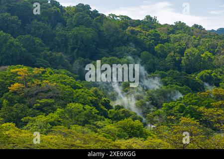 rauchiger Regenwald im Nationalpark Rincon de la Vieja in Costa Rica Stockfoto