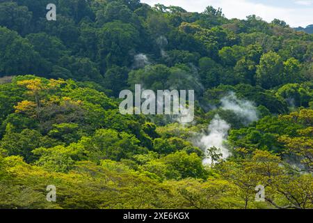 rauchiger Regenwald im Nationalpark Rincon de la Vieja in Costa Rica Stockfoto