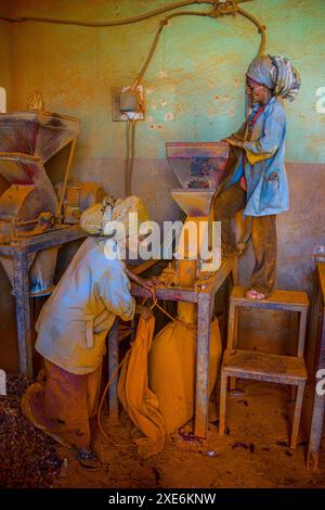 Frauen, die in einer Berbere-Gewürzfabrik auf dem Medebar-Markt in Asmara, Eritrea, Afrika arbeiten Copyright: MichaelxRunkel 1184-11944 redaktionelle Verwendung Stockfoto