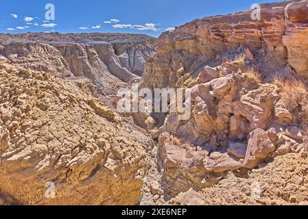 Eine tiefe Schlucht erodierte durch die Hügel aus violettem und grauem Bentonitton nahe Hamilili Point am südlichen Ende des Petrified Forest National Park, Arizona, Stockfoto