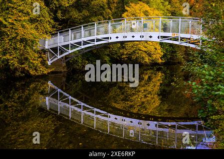 Laurie Bridge, Wilton Lodge Park, Hawick, Scottish Borders, Schottland, UK Stockfoto