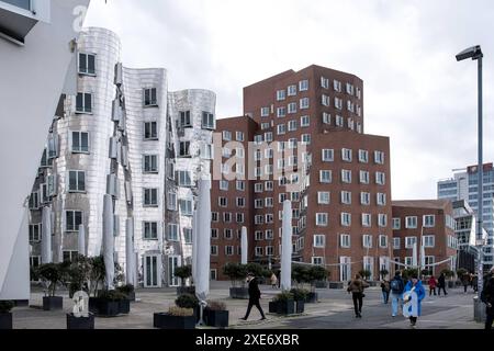 Blick auf den Neuen Zollhof der neue Zollhof, benannt nach einer ehemaligen Zollanlage, einem Gebäudeensemble im Medienhafen und prominentem Wahrzeichen der DUS Stockfoto