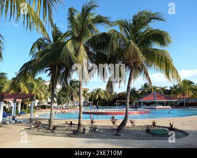 Touristen in Schwimmbad und Palmen, Cayo Santa Maria, Kuba, Westindien, Karibik, Zentralamerika Copyright: EthelxDavies 685-2859 Stockfoto