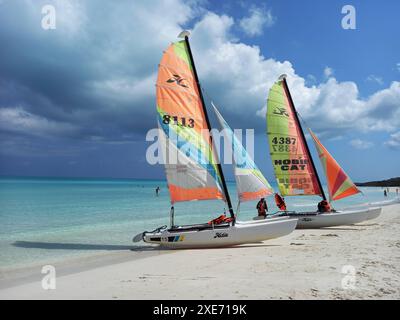 Hobiecats am Strand, Cayo Santa Maria, Kuba, Westindien, Karibik, Zentralamerika Copyright: EthelxDavies 685-2862 Stockfoto