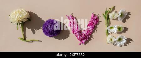 Kreatives minimalistisches Design von Blumenblättern und Blättern, das Worttexte auf BEIGEFARBENEM Hintergrund LIEBT. Romantische Pastellblumen. Mod Stockfoto