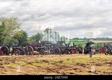 Dampflokomotiven wurden auf der Innishannon Steam Rally 2024 in Irland aufgestellt. Stockfoto